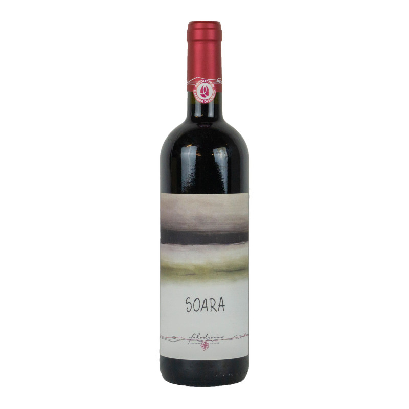 Filodivino 2019 Lacrima di Morro d Alba DOC Sup. Soara