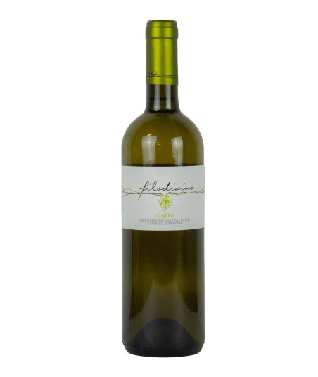 0,75 Filodivino 2019 Verdicchio dei