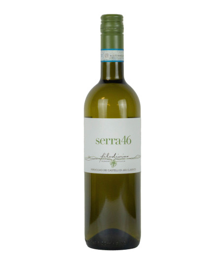 0,75 Filodivino 2021 Verdicchio dei