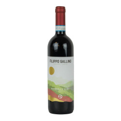 Gallino Filippo 2021 Barbera d Alba DOC