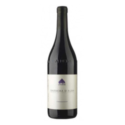 Cantina del Pino 2021 Barbera d Alba DOC Superiore