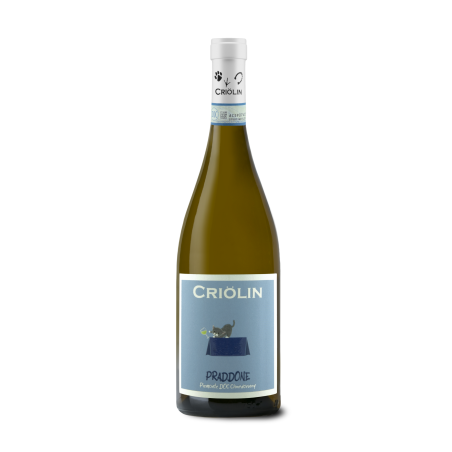 Criolin 2023 Piemonte DOC Chardonnay Praddone