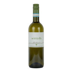 Filodivino 2018 Verdicchio...