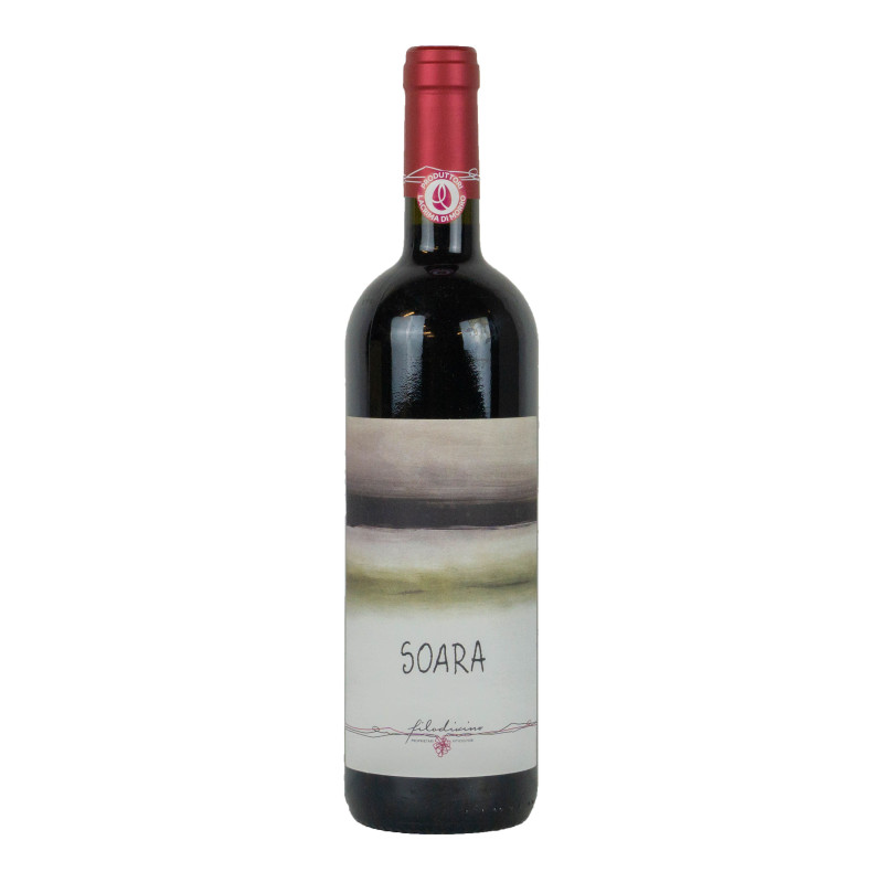 Filodivino 2020 Lacrima di Morro d Alba DOC Sup. Soara