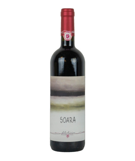 Filodivino 2020 Lacrima di Morro d Alba DOC Sup. Soara