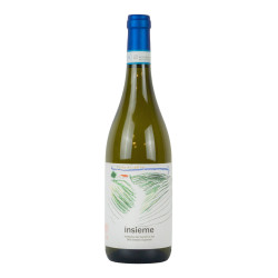 Terralibera 2023 Verdicchio...