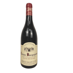 Domaine Philippe Livera 2021 Coteaux Bourguignons AOC Rouge