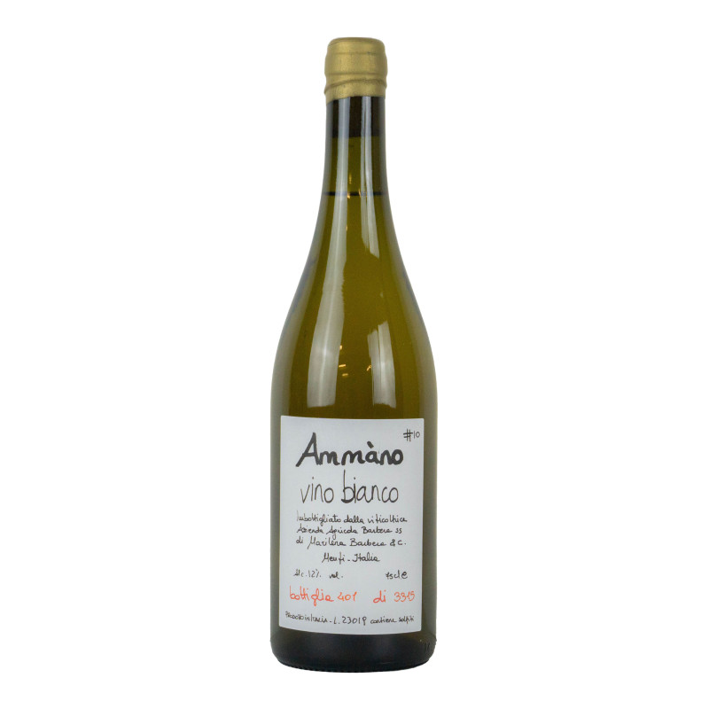 Cantine Barbera Vino da Tavola Bianco Ammano11