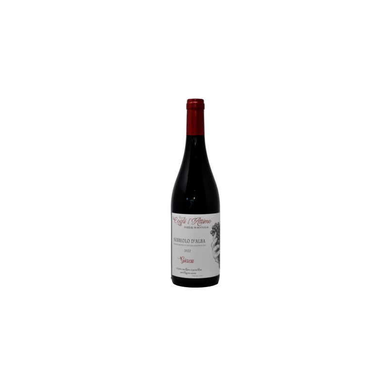 Cogli l Attimo 2022 Nebbiolo d Alba DOC