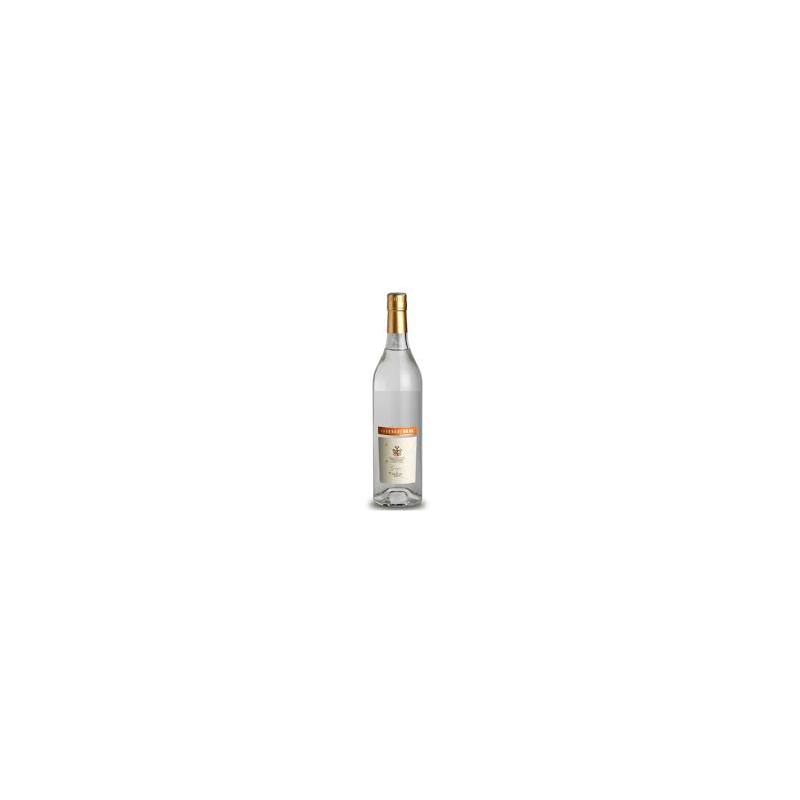 Oddero Grappa Moscato