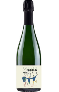 Dangin Paul Champagne Blanc Brut Nature Les Sels Mineraux